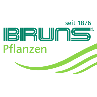 Bruns Pflanzen